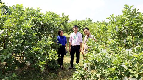 'Bệ đỡ' từ nguồn vốn chính sách