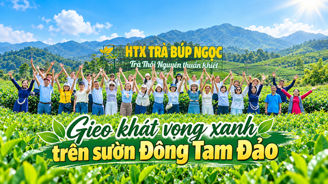 Gieo khát vọng xanh trên sườn Đông Tam Đảo