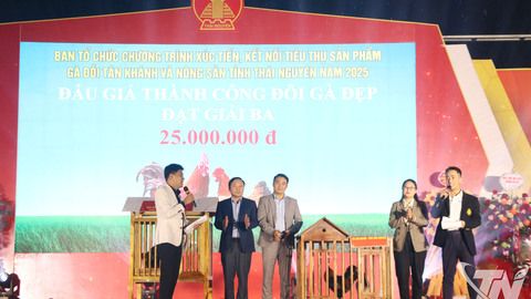 Kết nối tiêu thụ sản phẩm gà đồi Tân Khánh và nông sản Thái Nguyên