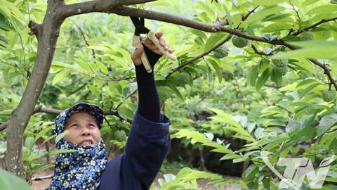 La Hiên chuyển mình từ nội lực