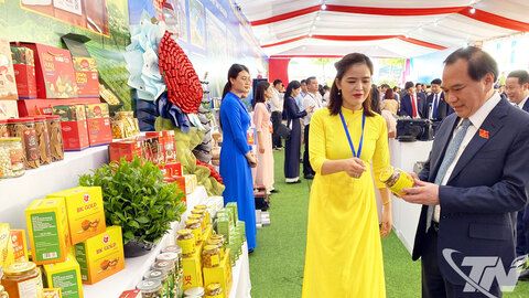 Triển lãm ảnh và không gian trưng bày thành tựu của Đảng bộ tỉnh Thái Nguyên