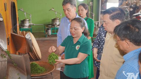 Từ khát vọng 'tự học' đến sáng kiến lan tỏa