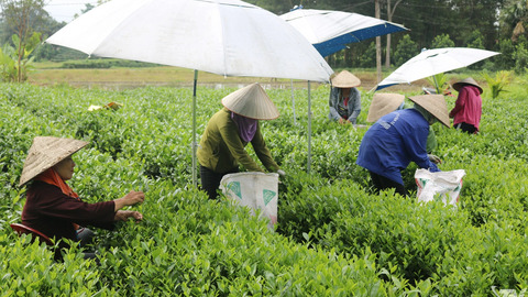 Diện mạo mới ở Phú Lương