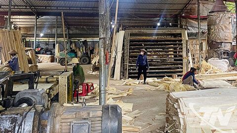 Tạo động lực tăng trưởng và nguồn thu bền vững