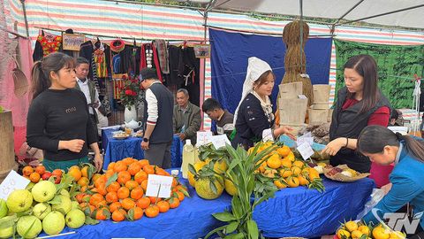 Sôi nổi Ngày hội cam, quýt và phiên chợ nông sản địa phương xã Bạch Thông