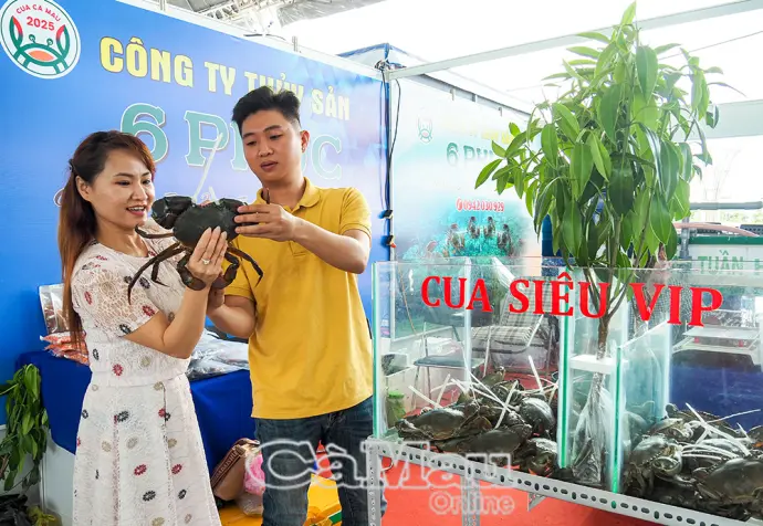 Đặc sản “triệu đô” hội tụ tại Ngày hội Cua Cà Mau 2025