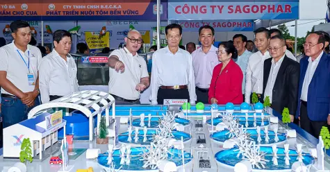 Nguyên Thủ tướng Chính phủ Nguyễn Tấn Dũng tham quan Ngày hội Cua Cà Mau