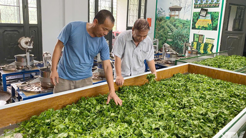 Thái Nguyên có 13 sản phẩm OCOP 5 sao