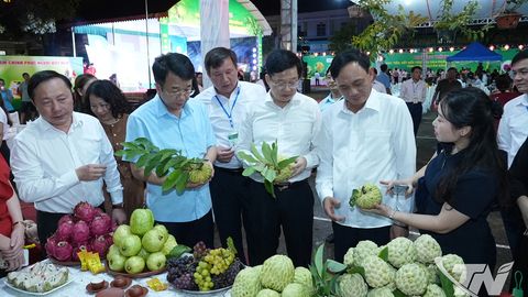 Xúc tiến tiêu thụ sản phẩm na La Hiên và nông sản trên nền tảng số