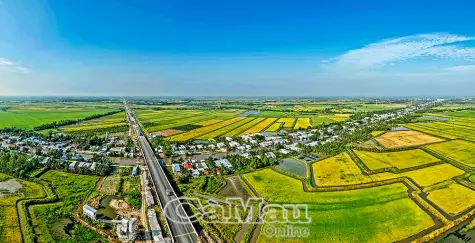 Hành trình cao tốc đến Cà Mau