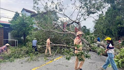 Không chủ quan trước bão số 10