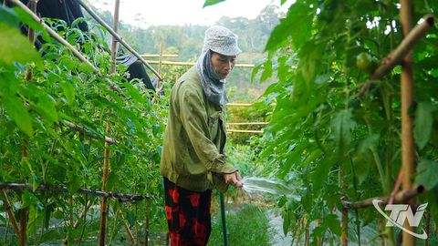 Đa dạng cây trồng vụ đông