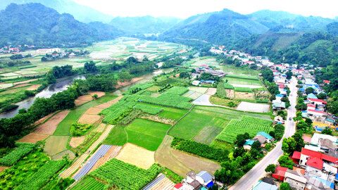 Thêm sinh kế để người dân vươn lên