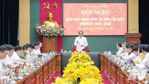 Hội nghị Ban Chấp hành Đảng bộ tỉnh lần thứ I: Cho ý kiến vào nhiều nội dung