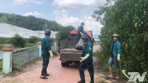 Ngăn chặn và xử lý tình trạng vứt xác lợn ra môi trường