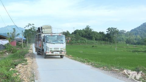 Đầu tư hạ tầng thiết yếu vùng dân tộc thiểu số