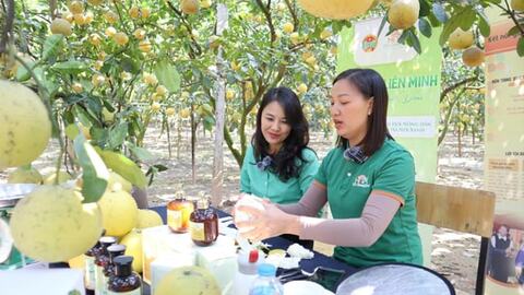 Tư duy mới trên đồng ruộng Thủ đô