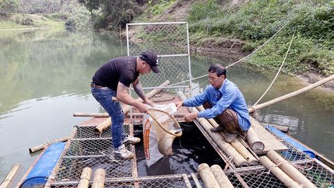 Phiêng Chì hôm nay