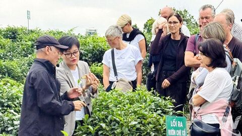 'Chạm' vào vị trà nguyên bản