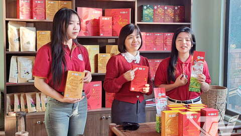Thành lập mới 35 hợp tác xã và tổ hợp tác