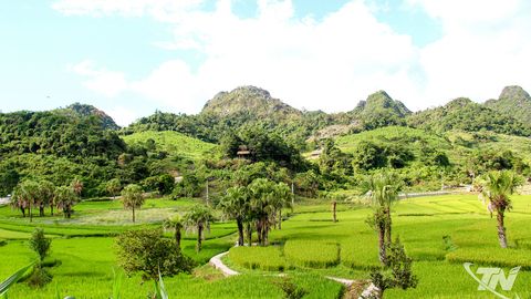 Mùa vàng no ấm vùng cao