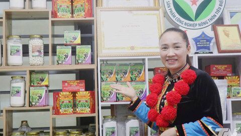 Điểm sáng một hợp tác xã