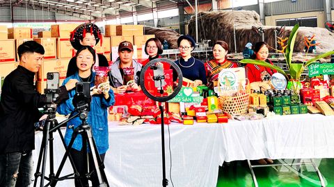 Điểm hẹn nông sản vùng Việt Bắc