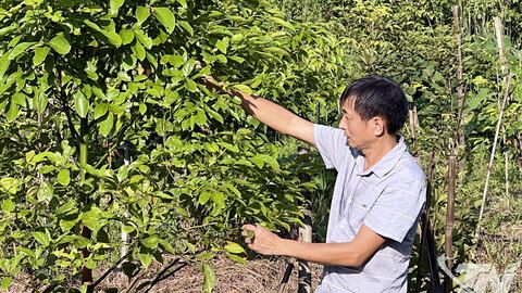 Người 'gieo hạt' nghĩa tình giữa lòng phố thị