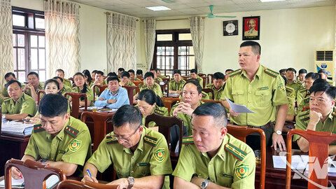 Tăng cường quản lý, bảo vệ và phát triển rừng bền vững