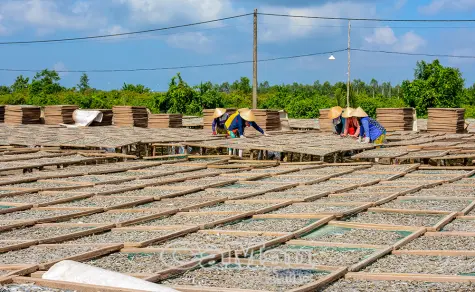 Xã Khánh Hưng: Khai thác tiềm năng, bứt phá phát triển