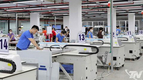 Mở hướng xuất khẩu bền vững