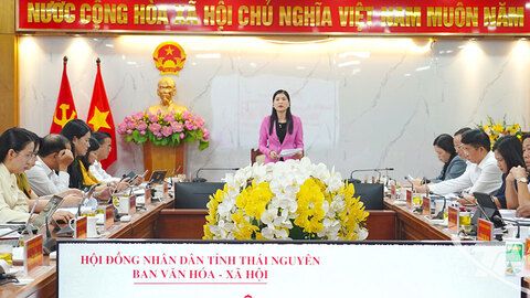 Thẩm tra các nội dung trình kỳ họp chuyên đề của HĐND tỉnh