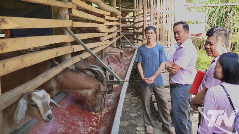 Tiếp tục nâng cao chất lượng tín dụng chính sách