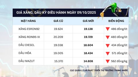 Giảm 480 đồng/lít, giá bán xăng RON95-III xuống mức 20.000 đồng/lít