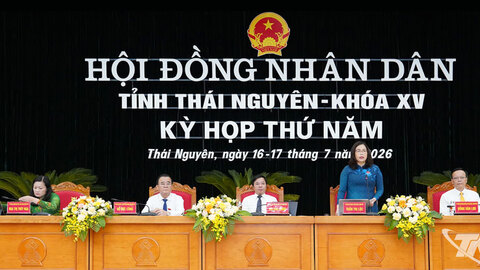 Kỳ họp thứ năm HĐND tỉnh Thái Nguyên khóa XV: Xem xét các báo cáo, tờ trình về nhiều lĩnh vực