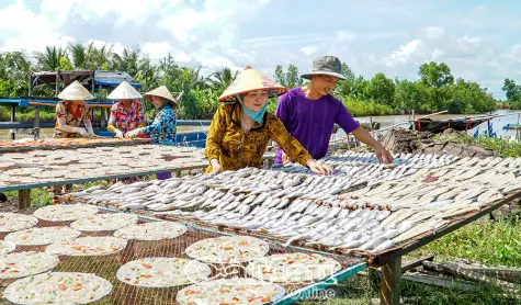 Xã Phú Tân: Kiến tạo không gian phát triển toàn diện, bền vững
