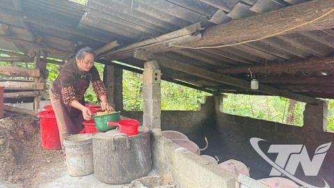 Giữ đàn lợn khỏe mạnh nhờ men vi sinh tự nhiên