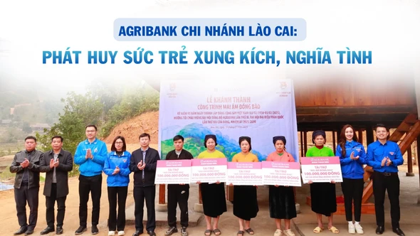 AGRIBANK CHI NHÁNH LÀO CAI:  Phát huy sức trẻ xung kích, nghĩa tình