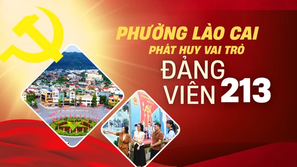 Phường Lào Cai phát huy vai trò đảng viên 213