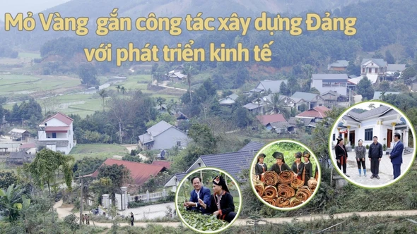 Mỏ Vàng gắn công tác xây dựng Đảng với phát triển kinh tế