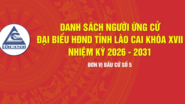 [Infographic] Tiểu sử tóm tắt những người ứng cử đại biểu HĐND tỉnh Lào Cai khóa XVII, nhiệm kỳ 2026 - 2031 (Đơn vị bầu cử số 5)