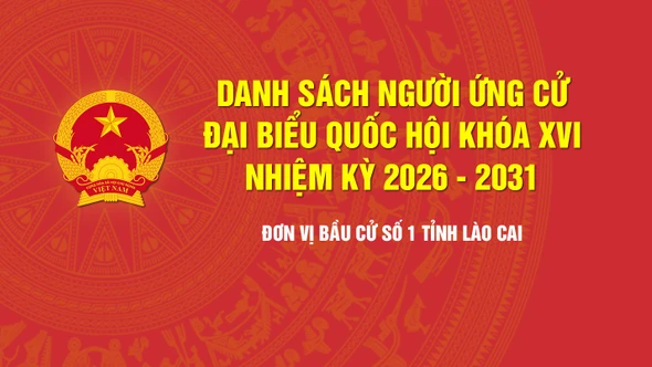 [Infographic] Tiểu sử tóm tắt những người ứng cử đại biểu Quốc hội khóa XVI - Đơn vị bầu cử số 1, tỉnh Lào Cai