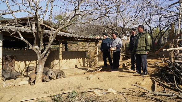 Bí thư chi bộ thôn Hua Khắt gương mẫu phát triển kinh tế