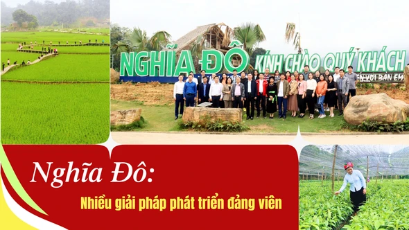 Nghĩa Đô: Nhiều giải pháp phát triển đảng viên