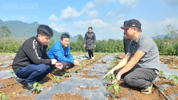 Khi chính quyền địa phương hai cấp hoạt động hiệu quả