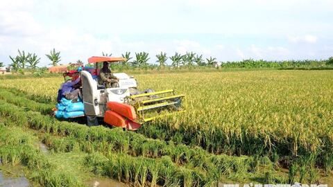 Nông nghiệp xanh, bền vững - "Chìa khóa" tạo bứt phá