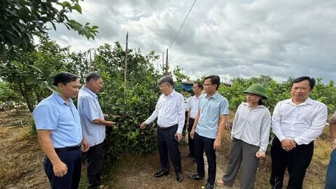 Hội Nông dân thành phố phát huy vai trò nòng cốt xây dựng nông thôn mới