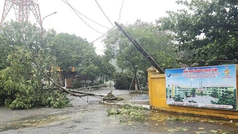 Bão số 5 đổ bộ Nghệ An - Hà Tĩnh, giật đổ hàng loạt cây xanh