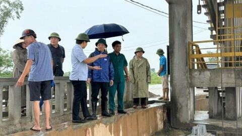 Hải Phòng ứng phó bão số 5 từ sớm, từ xa