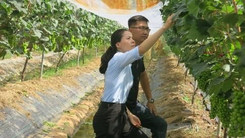 Đào tạo nghề gắn với sản xuất cho lao động nông thôn